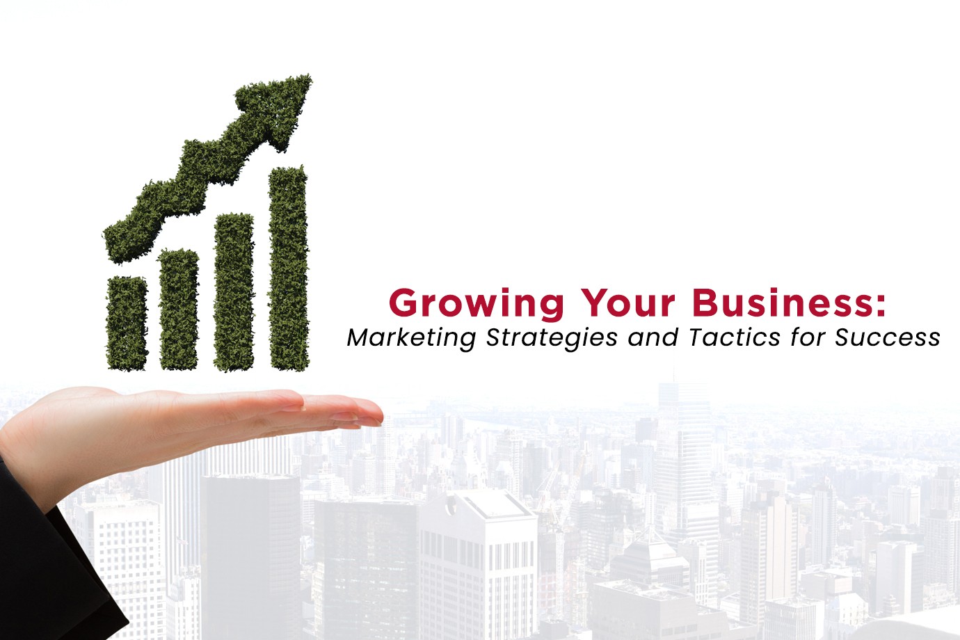 Grow your business with us
